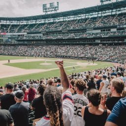 Crowd cheering at a baseball game.