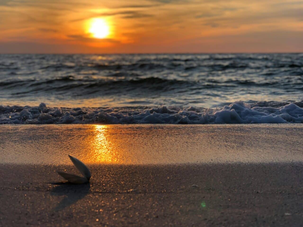 Sunset at a sandy beach in Florida