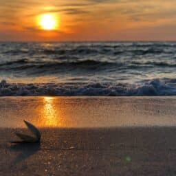 Sunset at a sandy beach in Florida